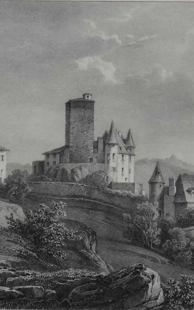 Chateau De Saint Etienne Illustration