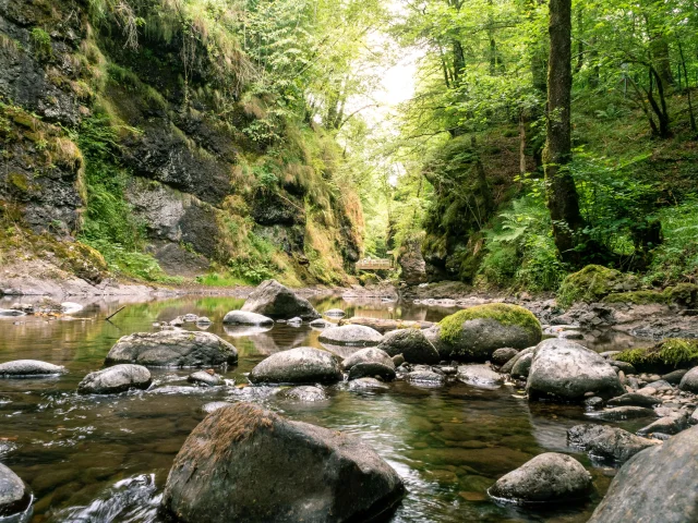 Gorges De La Jordanne Le Caillou Aux Hiboux Min Copy