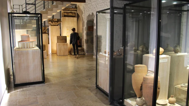 Museum of Art and Archaeology