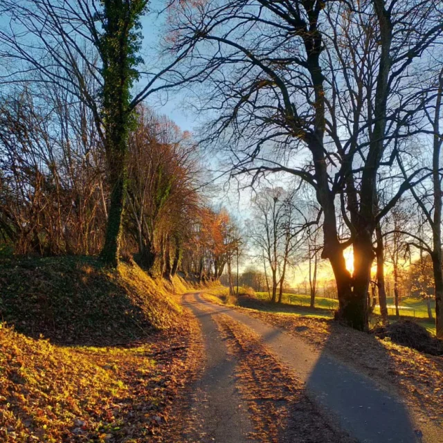 Instagram #tourismepaysaurillac