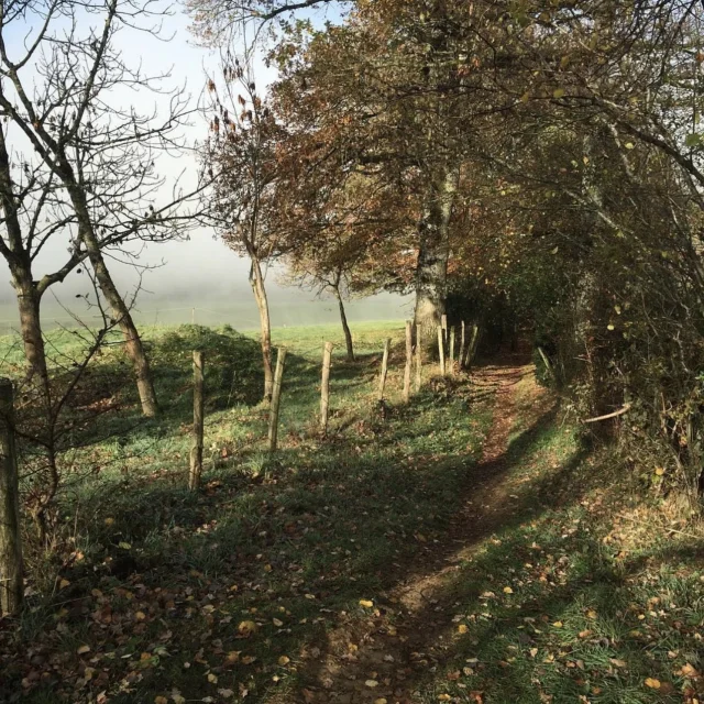 Instagram #tourismeaurillac