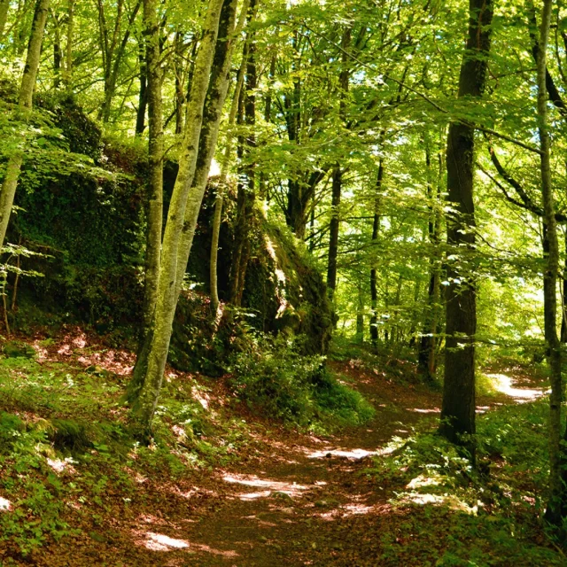 Instagram #tourismepaysaurillac