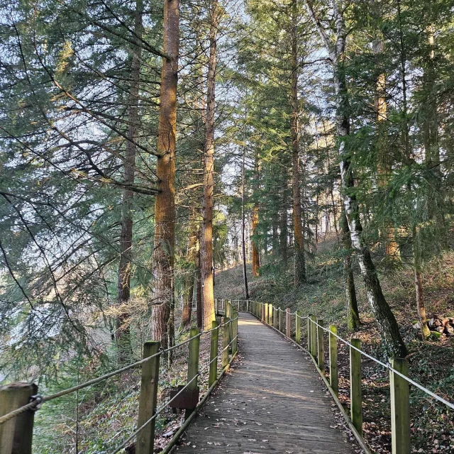 Instagram #tourismeaurillac