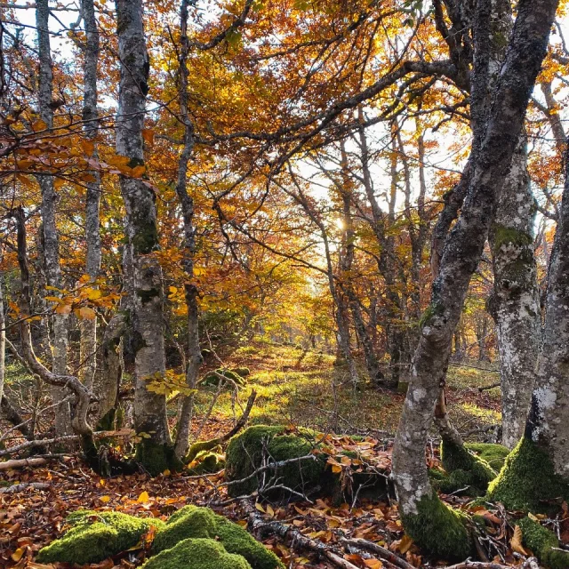 Instagram #tourismepaysaurillac