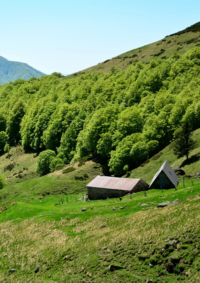 Senderismo - Col de Cabre, Buron