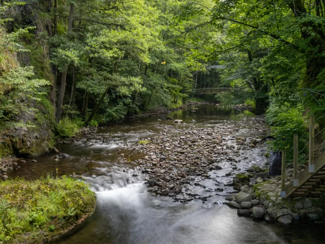 Gorges de la Jordanne