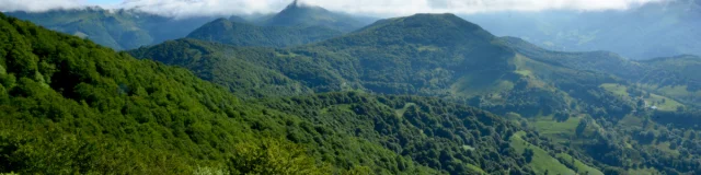 Paysage de montagnes