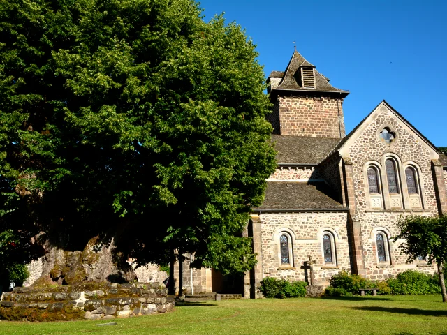 Tilleul Sully - Saint-Simon