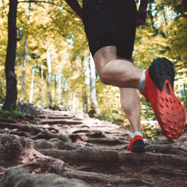 Course à pied dans la nature