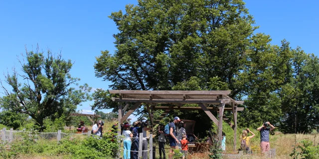 Visite guidée Rocher de Carlat