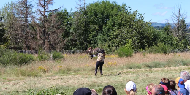 Spectacle de fauconnerie Rocher de Carlat
