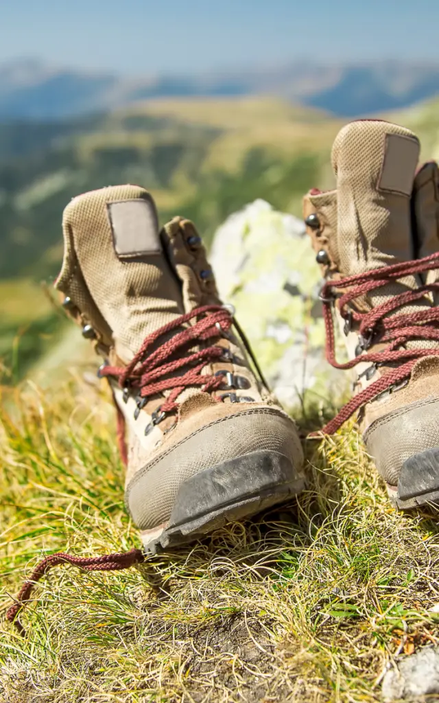Chaussures De Randonnee