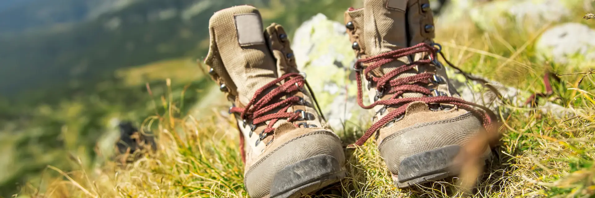 Chaussures De Randonnee
